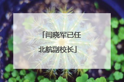 闫晓军已任北航副校长