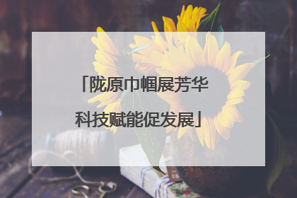 陇原巾帼展芳华 科技赋能促发展