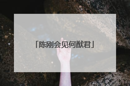 陈刚会见何猷君