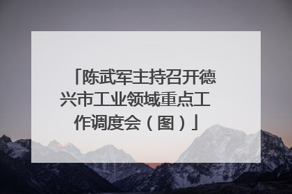 陈武军主持召开德兴市工业领域重点工作调度会（图）
