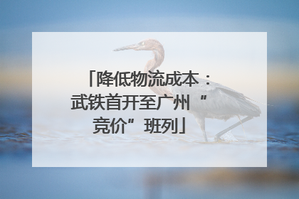 降低物流成本：武铁首开至广州“竞价”班列