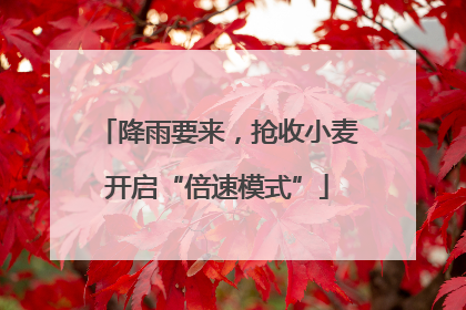 降雨要来，抢收小麦开启“倍速模式”