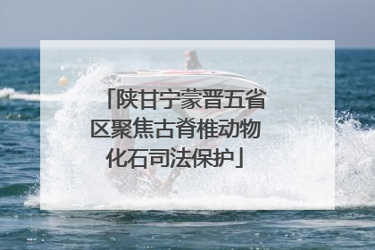 陕甘宁蒙晋五省区聚焦古脊椎动物化石司法保护