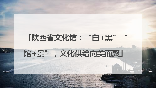 陕西省文化馆：“白+黑”“馆+景”，文化供给向美而聚