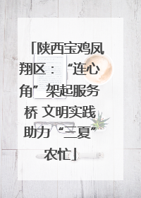 陕西宝鸡凤翔区：“连心角”架起服务桥 文明实践助力“三夏”农忙