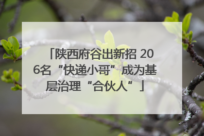 陕西府谷出新招 206名“快递小哥”成为基层治理“合伙人”