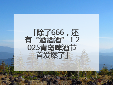 除了666，还有“酒酒酒”！2025青岛啤酒节首发燃了