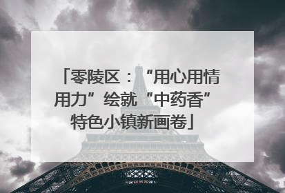 零陵区：“用心用情用力”绘就“中药香”特色小镇新画卷