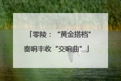 零陵：“黄金搭档”奏响丰收“交响曲”