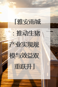 雅安雨城：推动生猪产业实现规模与效益双重跃升