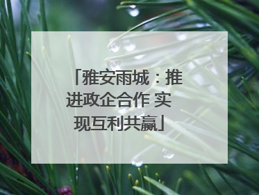 雅安雨城：推进政企合作 实现互利共赢