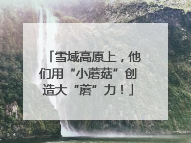 雪域高原上，他们用“小蘑菇”创造大“蘑”力！