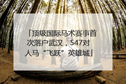 顶级国际马术赛事首次落户武汉，547对人马“飞跃”英雄城