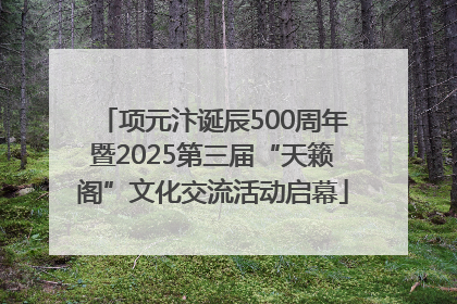 项元汴诞辰500周年暨2025第三届“天籁阁”文化交流活动启幕