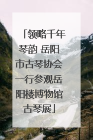 领略千年琴韵 岳阳市古琴协会一行参观岳阳楼博物馆古琴展