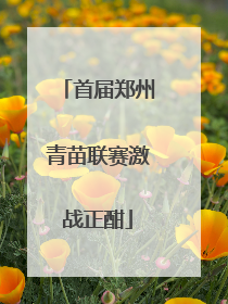首届郑州青苗联赛激战正酣
