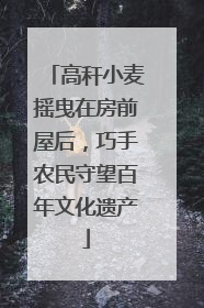 高秆小麦摇曳在房前屋后，巧手农民守望百年文化遗产