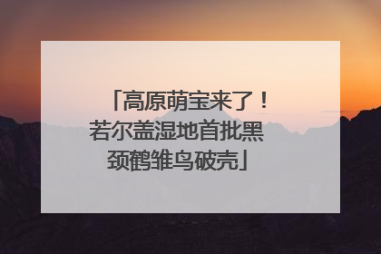 高原萌宝来了！若尔盖湿地首批黑颈鹤雏鸟破壳