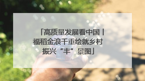 高质量发展看中国丨福稻金浪千重绘就乡村振兴“丰”景图