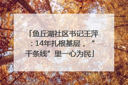 鱼丘湖社区书记王萍：14年扎根基层，“千条线”里一心为民