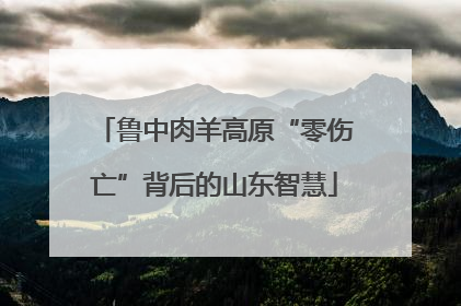 鲁中肉羊高原“零伤亡”背后的山东智慧