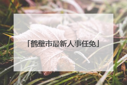 鹤壁市最新人事任免