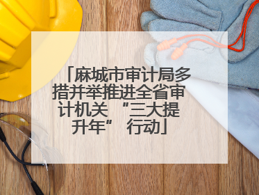 麻城市审计局多措并举推进全省审计机关 “三大提升年” 行动