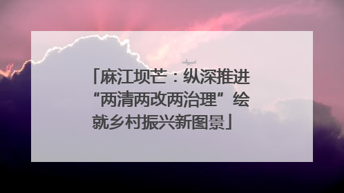 麻江坝芒：纵深推进“两清两改两治理”绘就乡村振兴新图景