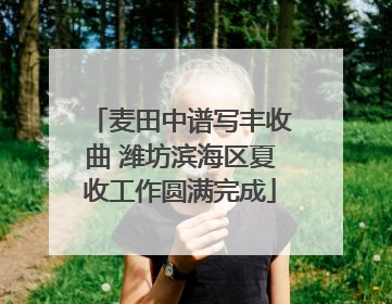 麦田中谱写丰收曲 潍坊滨海区夏收工作圆满完成
