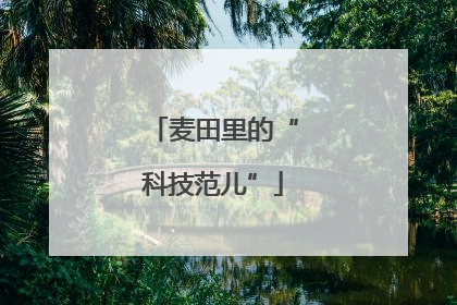麦田里的“科技范儿”