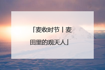麦收时节丨麦田里的观天人
