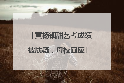 黄杨钿甜艺考成绩被质疑，母校回应