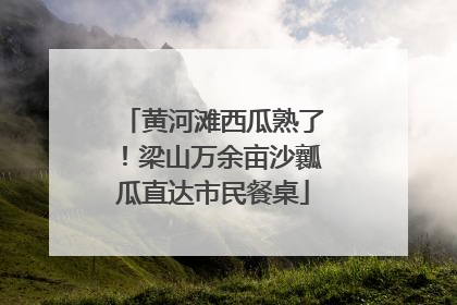 黄河滩西瓜熟了！梁山万余亩沙瓤瓜直达市民餐桌
