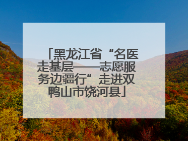 黑龙江省“名医走基层——志愿服务边疆行”走进双鸭山市饶河县