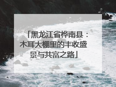 黑龙江省桦南县：木耳大棚里的丰收盛景与共富之路
