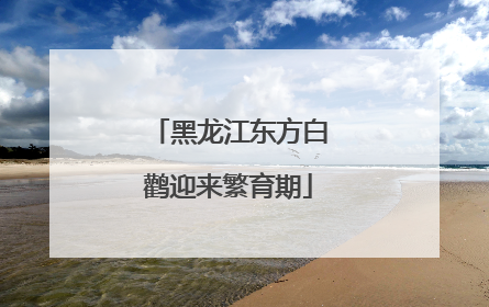 黑龙江东方白鹳迎来繁育期