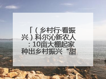 （乡村行·看振兴）科尔沁新农人：10亩大棚起家种出乡村振兴“甜蜜果”