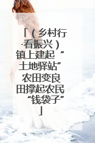 （乡村行·看振兴）镇上建起“土地驿站” 农田变良田撑起农民“钱袋子”