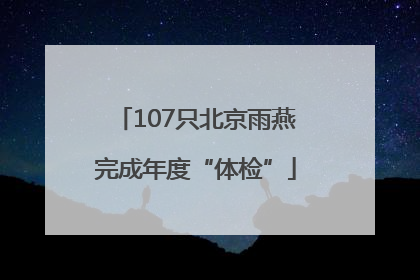 107只北京雨燕完成年度“体检”