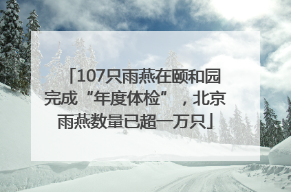 107只雨燕在颐和园完成“年度体检”，北京雨燕数量已超一万只