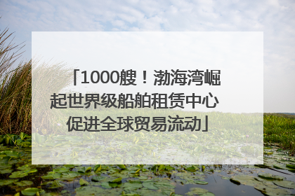 1000艘！渤海湾崛起世界级船舶租赁中心 促进全球贸易流动