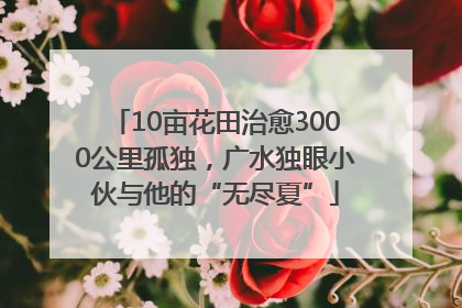 10亩花田治愈3000公里孤独，广水独眼小伙与他的“无尽夏”