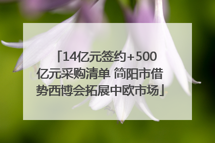 14亿元签约+500亿元采购清单 简阳市借势西博会拓展中欧市场