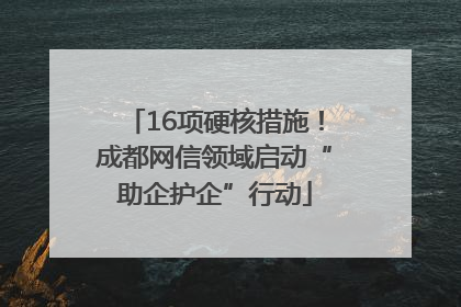 16项硬核措施！成都网信领域启动“助企护企”行动