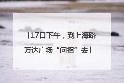 17日下午，到上海路万达广场“问招”去