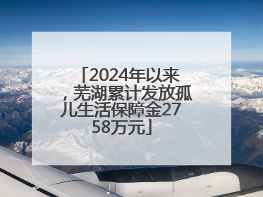 2024年以来，芜湖累计发放孤儿生活保障金2758万元