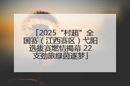 2025“村超”全国赛（江西赛区）弋阳选拔赛燃情揭幕 22支劲旅绿茵逐梦