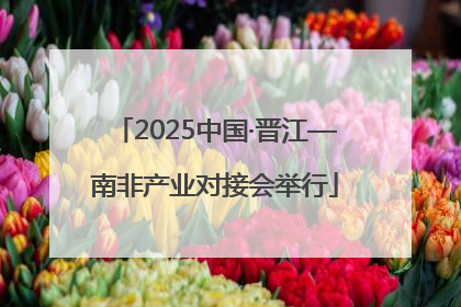 2025中国·晋江—南非产业对接会举行