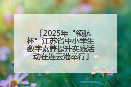 2025年“领航杯”江苏省中小学生数字素养提升实践活动在连云港举行
