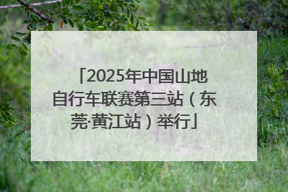 2025年中国山地自行车联赛第三站（东莞·黄江站）举行